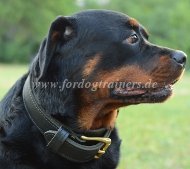  Dog Collar for Rottweiler ✮