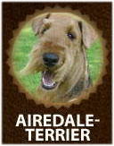 Airedale Terrier