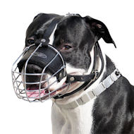 /images/Amstaff-wire-dog-muzzle-drahtmaulkorb-bozal-UK.jpg
