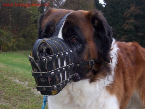 Maulkorb Leder für Große Hunde Edler Beißkorb für Bernhard