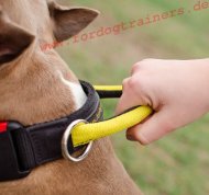 Hundehalsband Nylon Bullterrier, Schnellverschluss & Griff
