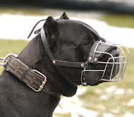 Cane Corso Drahtmaulkorb kaufen