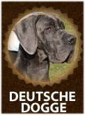 Great Dane