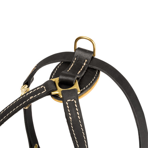 Harness for puppy or small breed dog