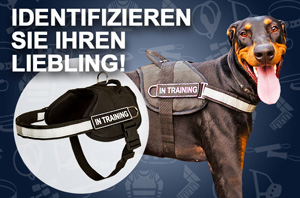 http://www.fordogtrainers.de/images/H6P-Doberman-mail.jpg