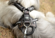 Hundegeschirr Leder für Südrussischen Schäferhund Draht