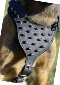 Hundegeschirr
Leder