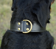 Hundehalsband Leder Exklusiv für Rottweiler Nappa-Futter