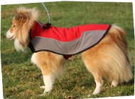 Hundekleidung aus Nylon für Sheltie ❊