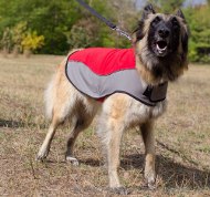 Hundekleidung für Tervueren, Atmungsaktiv