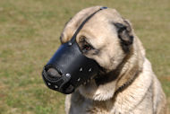 Alltags-Hundemaulkorb für Kaukasischen Schäferhund