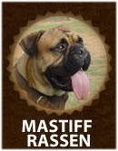 Bullmastiff