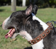 Hundehalsband aus Leder für Bullterrier von Fordogtrainers