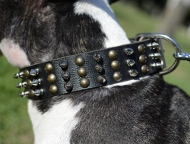 Hundehalsband Leder für Pitbull mit Nieten & Dornen