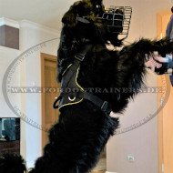 Bestseller Allwetter-Hundegeschirr aus Nylon für Riesenschnauzer