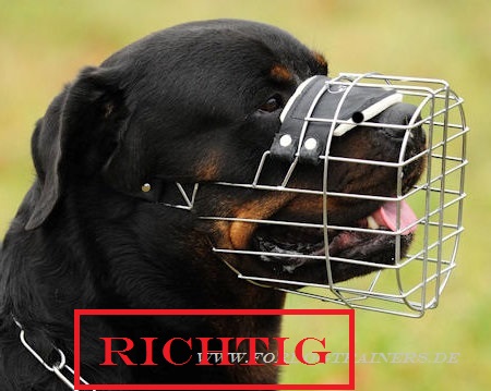 http://www.fordogtrainers.de/images/Rotweiler-Draht-Maulkorbl.jpg