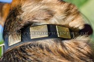 /images/Schaeferhund-Halsband-Leder-mit-Nieten-Platten.jpg