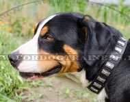 Stillvolles Halsband für Schweizer Sennenhund mit den Platten