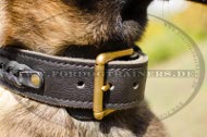Malinois Geflochtenes Halsband| Hundehalsband Leder Super Design