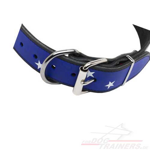 Painted
leather dog collar buy