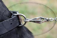 Schweizer Sennenhund Halsband | Lederhundehalsband mit Platten