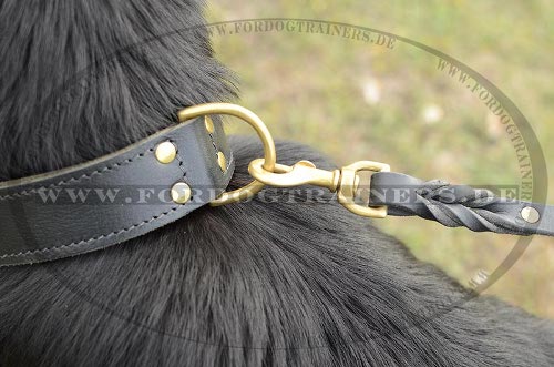 Deutscher Schäferhund Halsband aus Leder