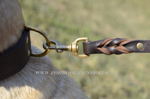 Labrador Training Halsband aus Leder