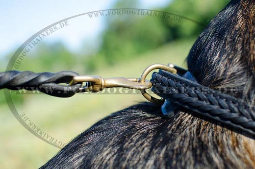 /images/dog-collars/Geflochtenes-halsband-Schaeferhunde-Leder-small.jpg