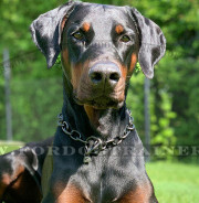 Dobermann Halskette für Hundeausbildung, Herm Sprenger
