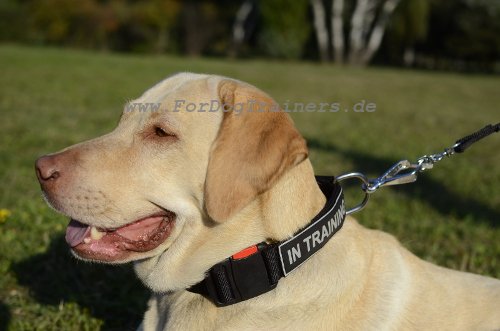 Hundehalsband für Labrador aus Nylon mit Klickverschluss