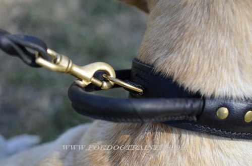 Halsband für Labrador mit Handschlaufe