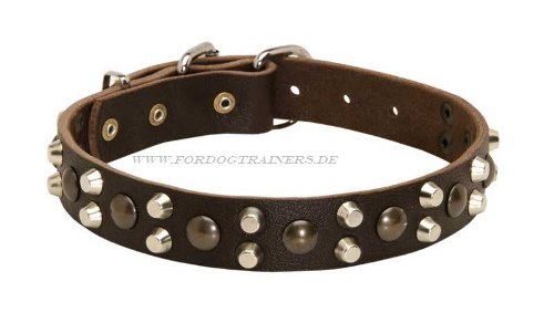 Bullterrier Hundehalsband für Trainieren