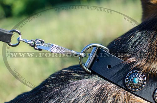 Deutscher Schäferhund Hundehalsband robust