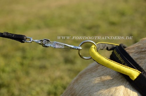 Nylon Halsband für Labrador kaufen