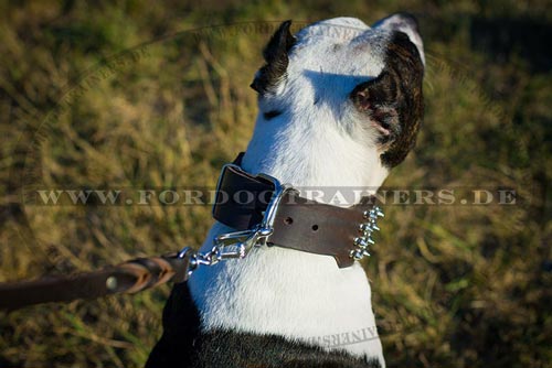 Nieten Halsband mit Nickelspikes für Pitbull
Terrier