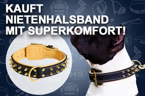 Hundehalsband Leder mit glänzenden Zubehörteilen