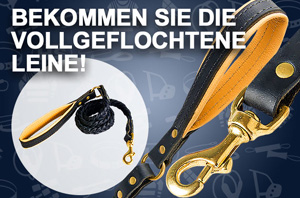 Leder Hundeleine mit Handschuhleder-Polsterung