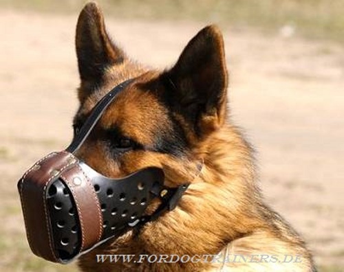 Shepherd dog muzzle buy