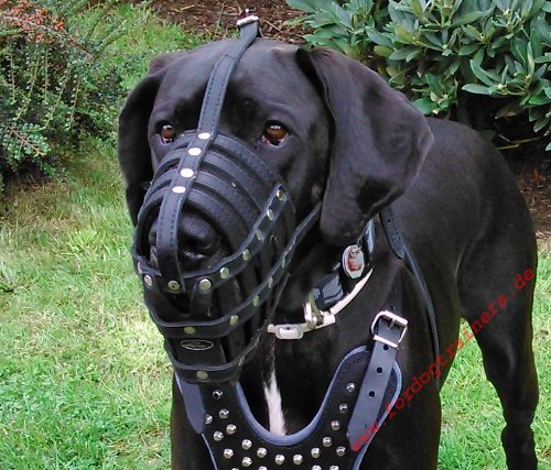 Anti Poison Leather Dog Muzzle for Great Dane