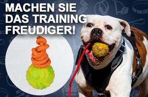 Hundeball mit Nylon Schnur