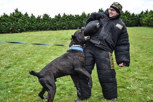 Schutzanzug für Polizeihunde