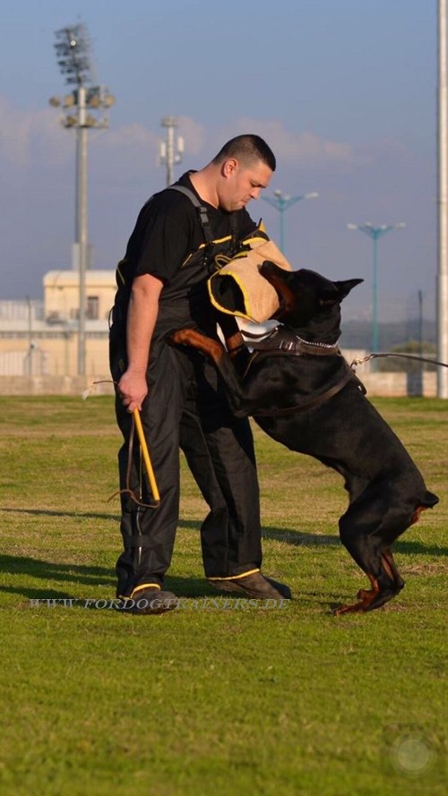 /images/dog-training-equipment/Wurfarm-aus-Jute-fuer-Trainings-small.jpg
