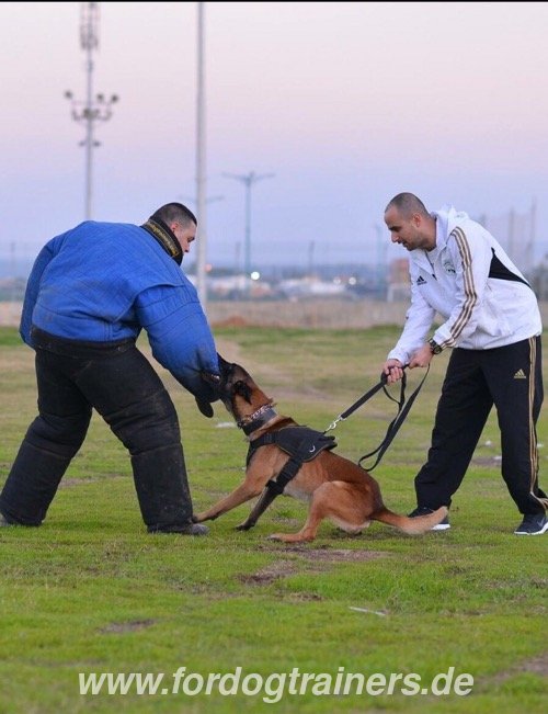 Hetzanzug für Polizeihund