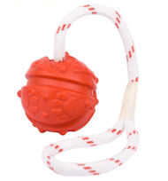 /images/dog-training-toy-ball-on-string-fight-bad-smell-DE.jpg