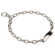Training Dog Collar of Steel with Plate, Herm Sprenger