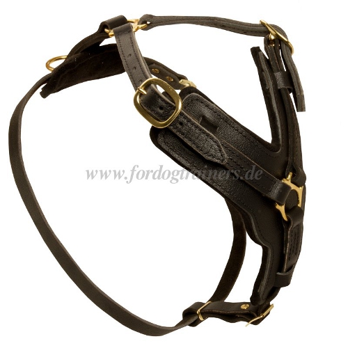 Leather dog harness with padding