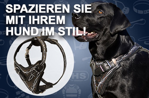 Hundegeschirr aus Leder mit Stacheldraht-Bemalung