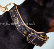 Gepolsterter Hundehalsband aus Leder für Labrador Retriever