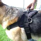 K9 nylon dog harness