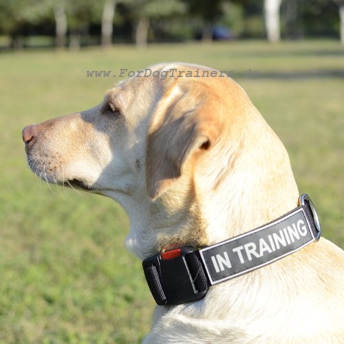 Labrador Hasband Nylon | Halsband für Große Hunderasse